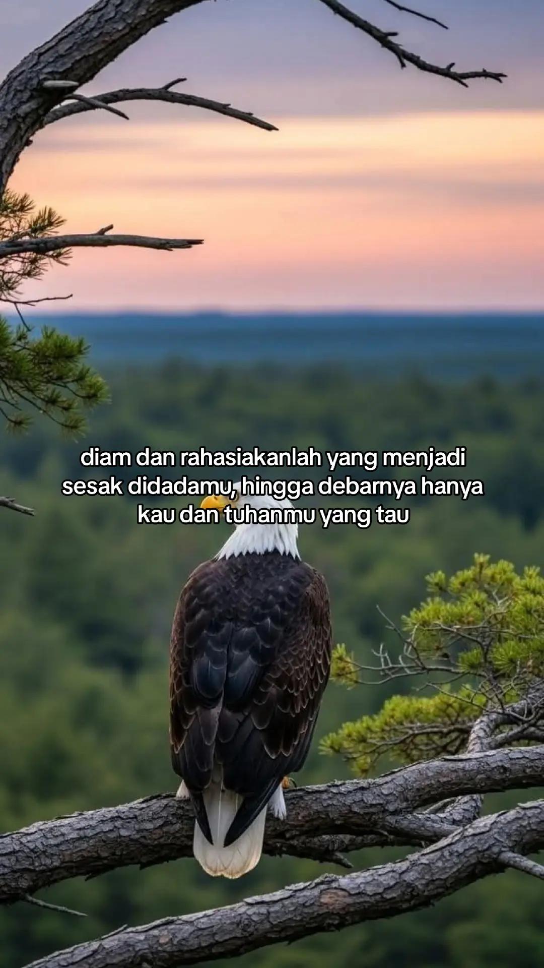 @wisnu23