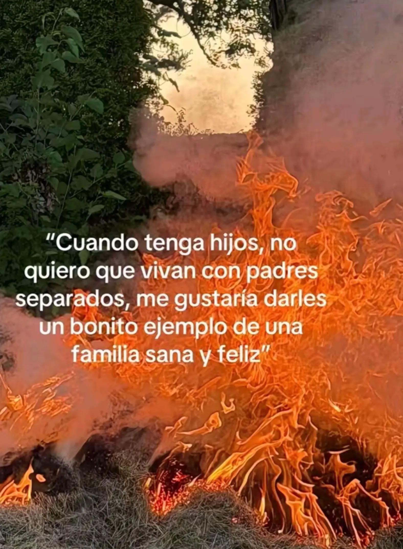 @✨🪷YANELA 🪷🌼♉