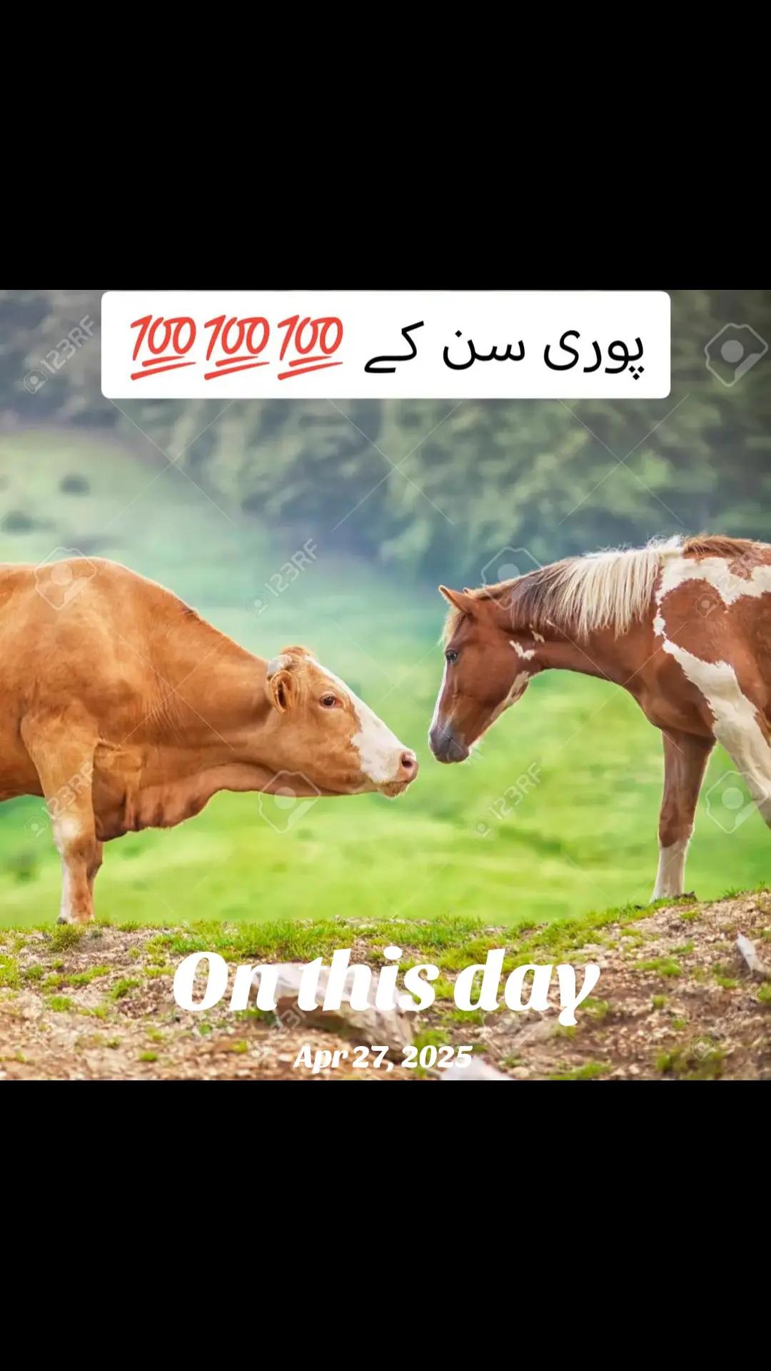 @پردیسی