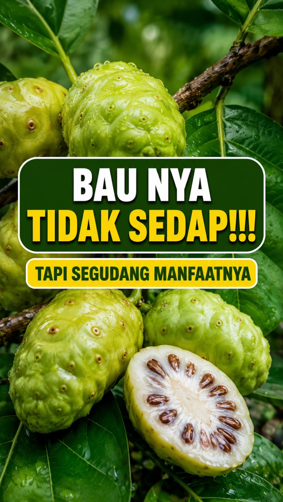 @SAHABAT SEHATMU
