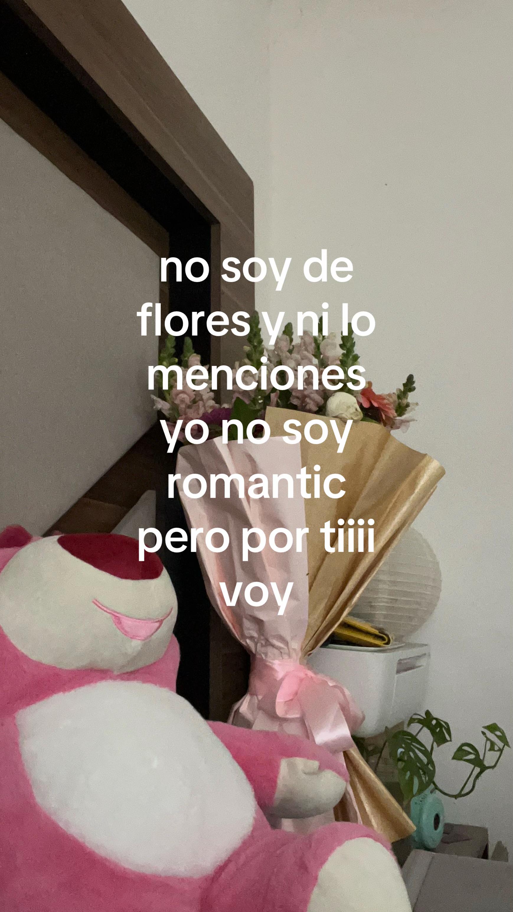 @canelamich🐰