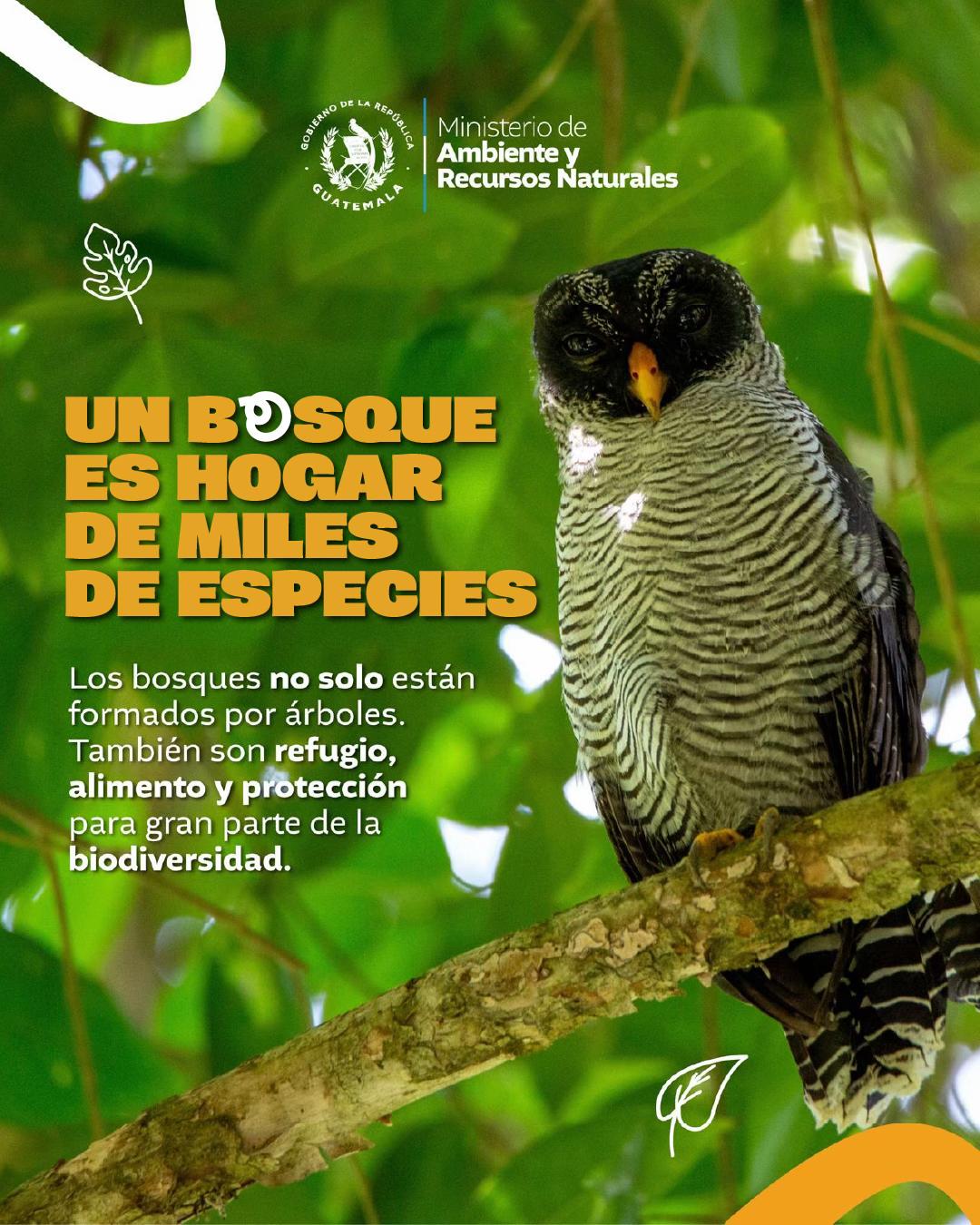 @Ministerio de Ambiente GT