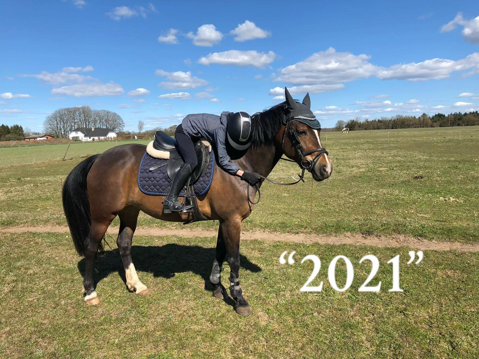 @Cathrine_equestrian🤍