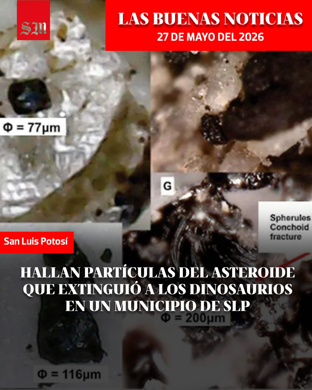 @Noticias OEM