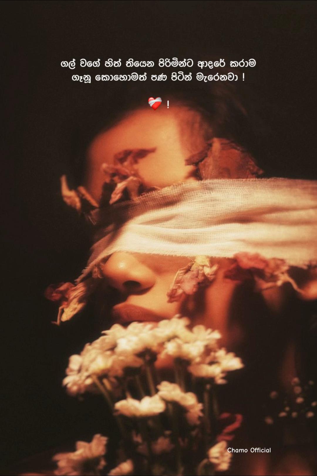@< 𝐂𝐡𝐚𝐦𝐨 ᥫ᭡