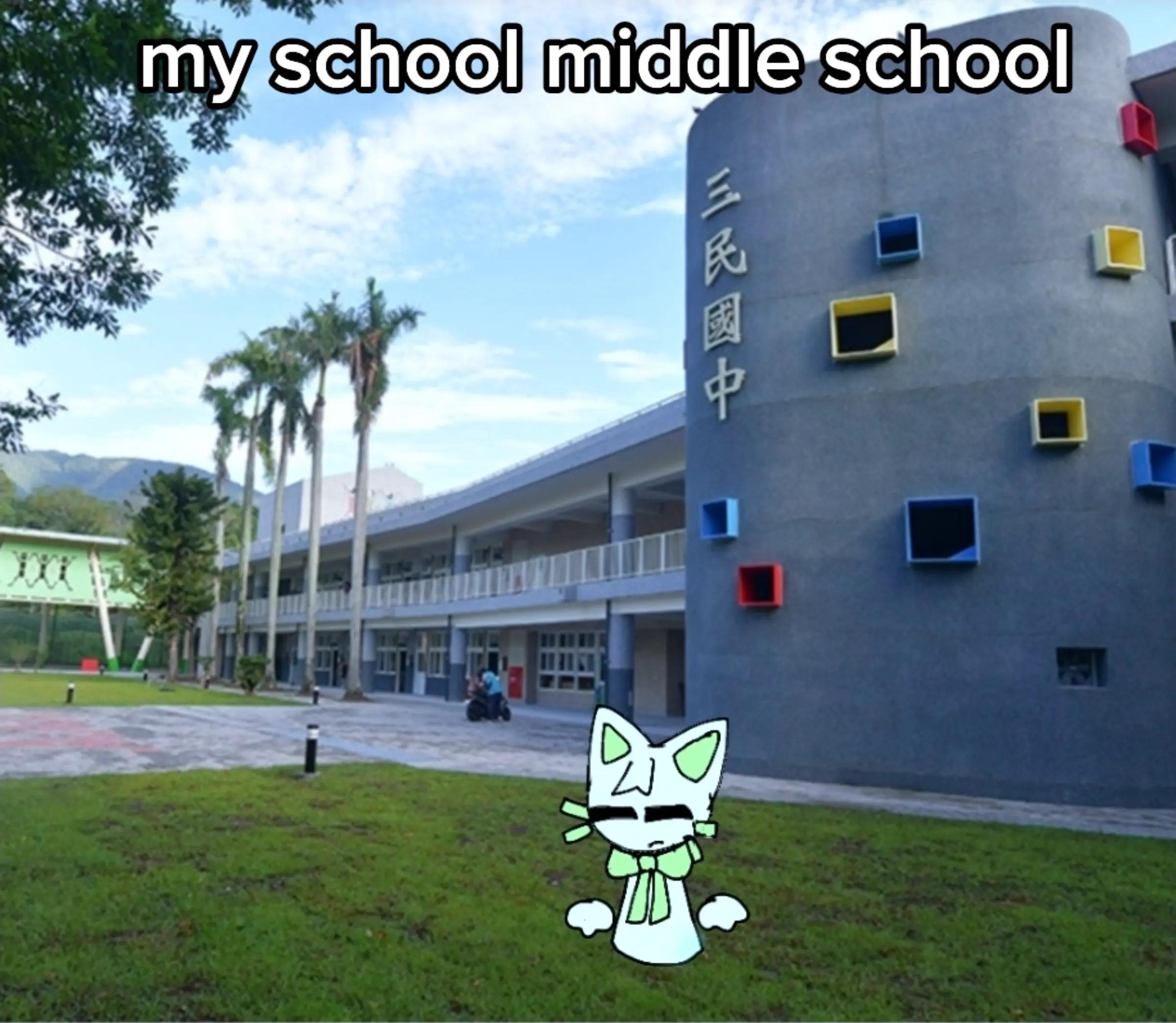 @😼Good Male Meow💚