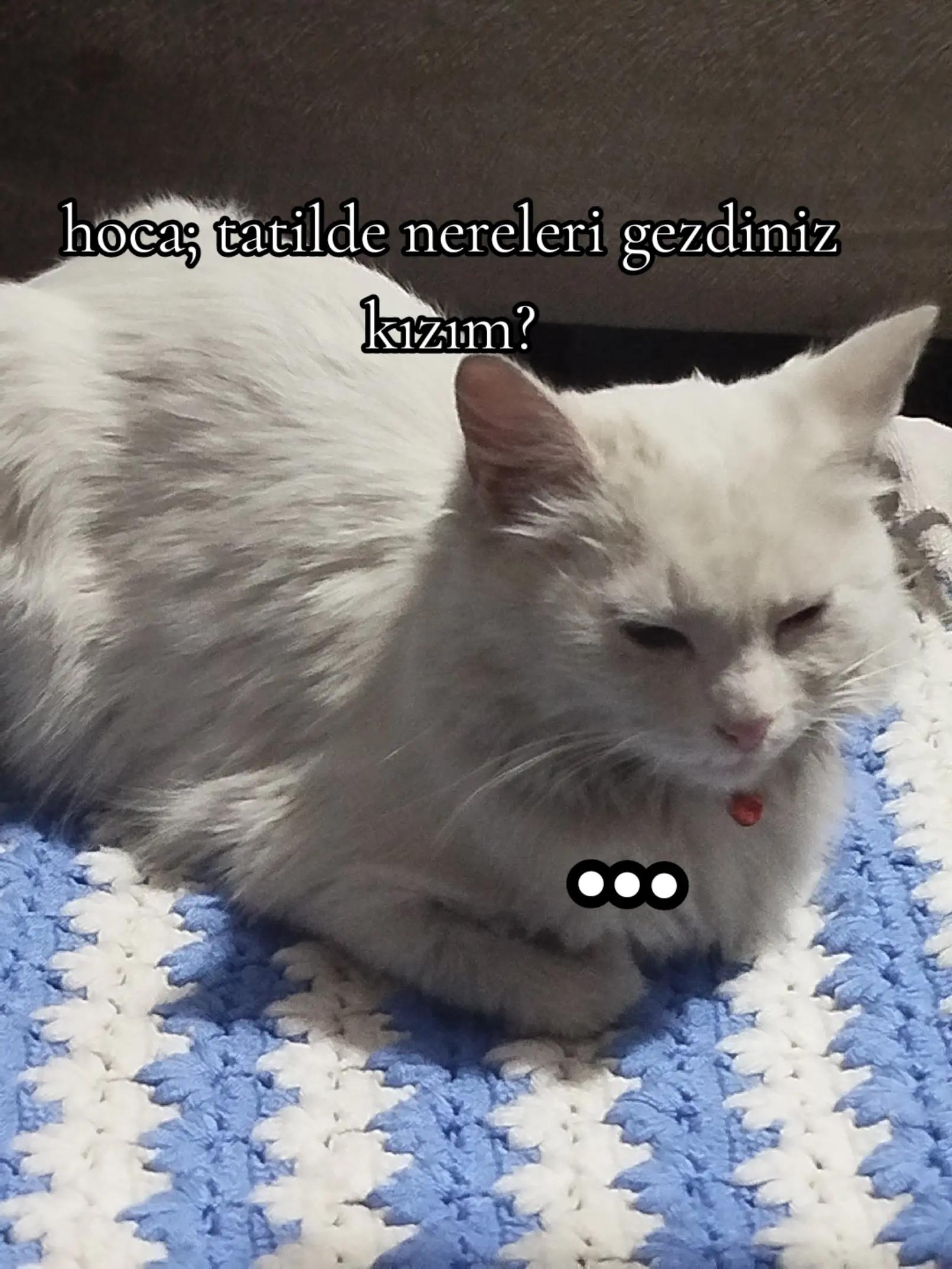 @𝓛𝓮𝔂𝓵𝓪★