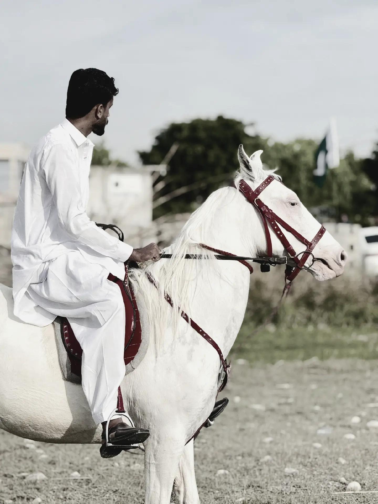 @چوہدری سعد ھزاری آلا🙋