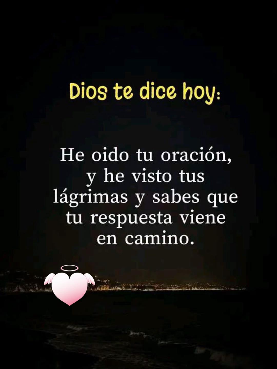 @Veronica Esperanza L
