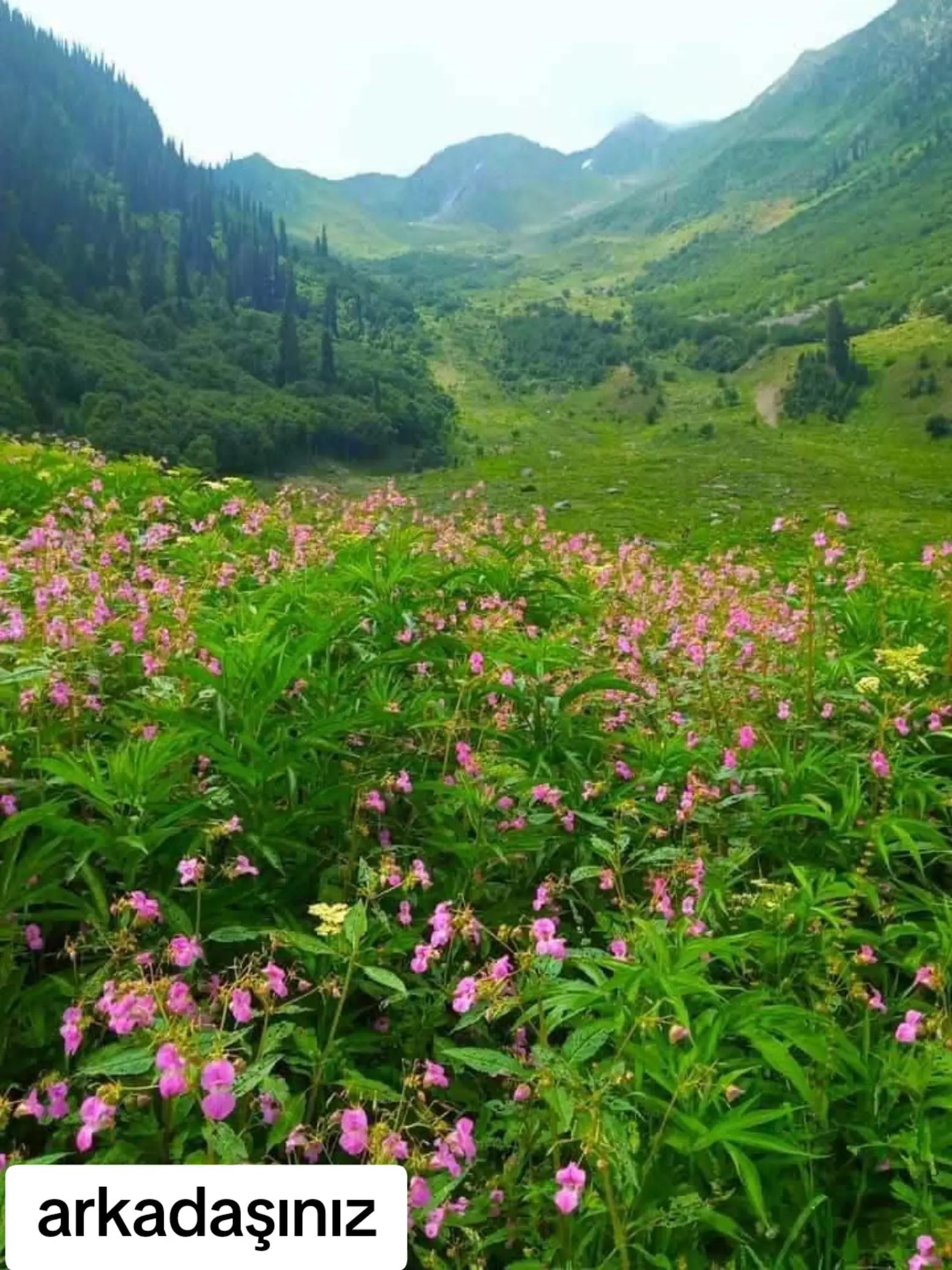 @ÇİĞDEM🪻 ABLANIZ🪻