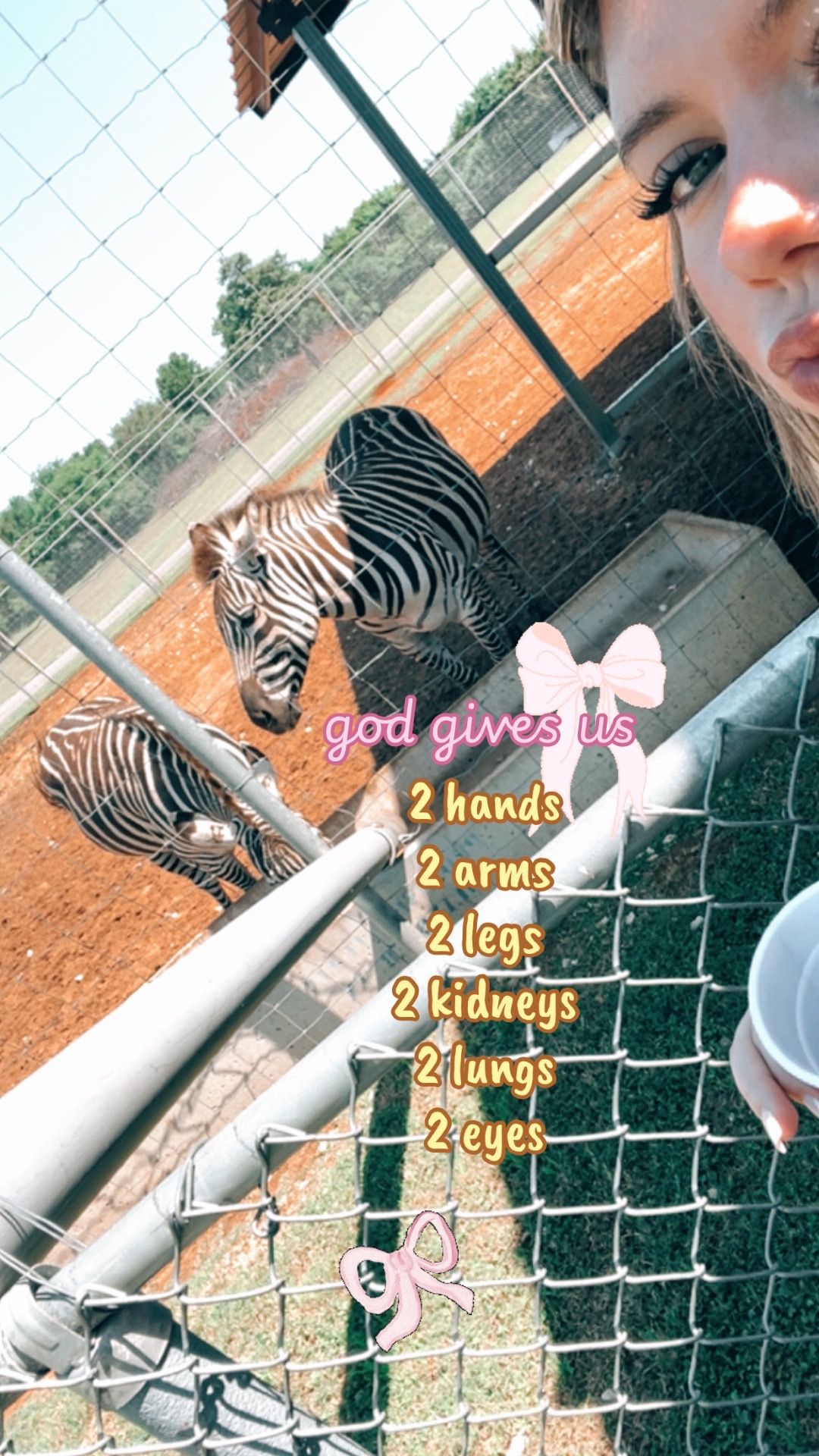 @𝒶 𝓋 𝑒 𝓇 𝓎 . 💐