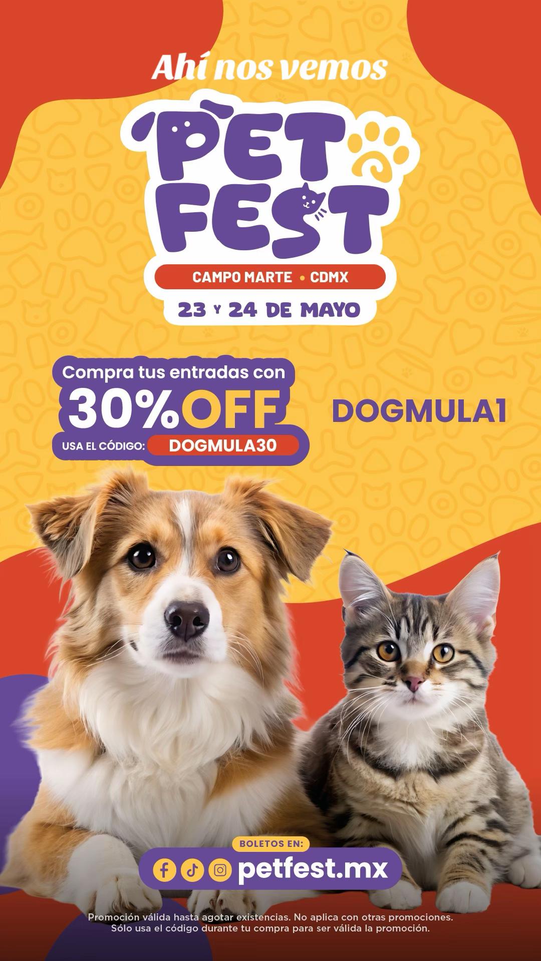 @Dogmula 1