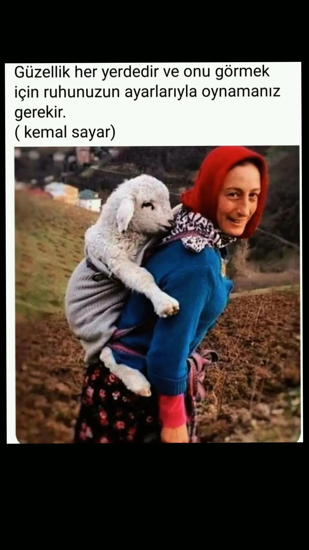@Düşünmeyen filozof