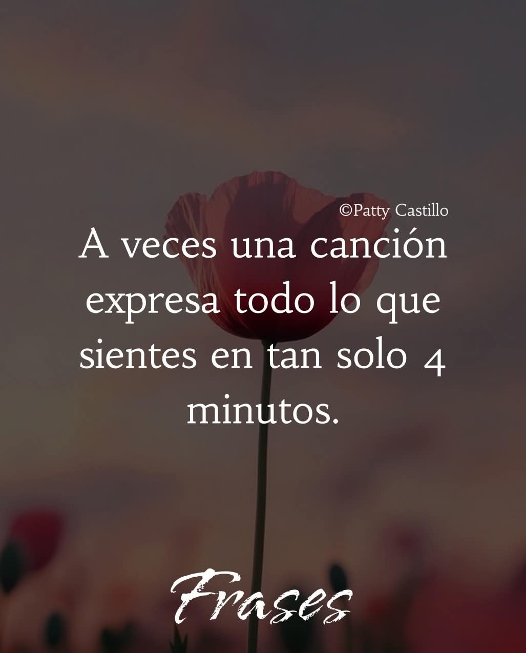 @Claribella 🦋🦋
