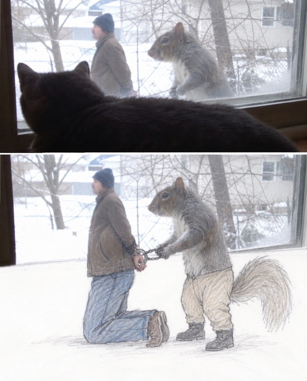 @cat memes