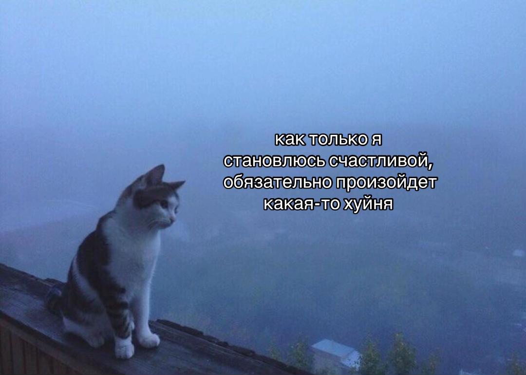 @hirndd@