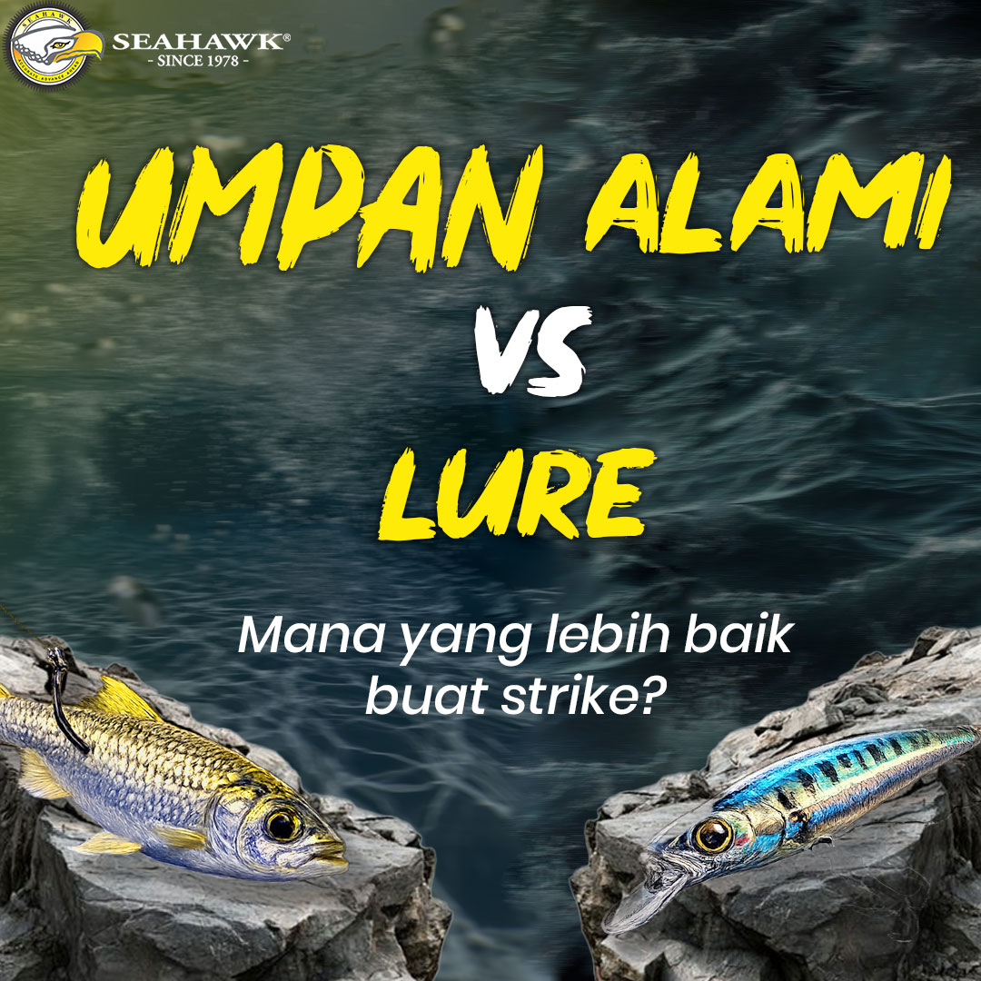 @Teamseahawkindonesia