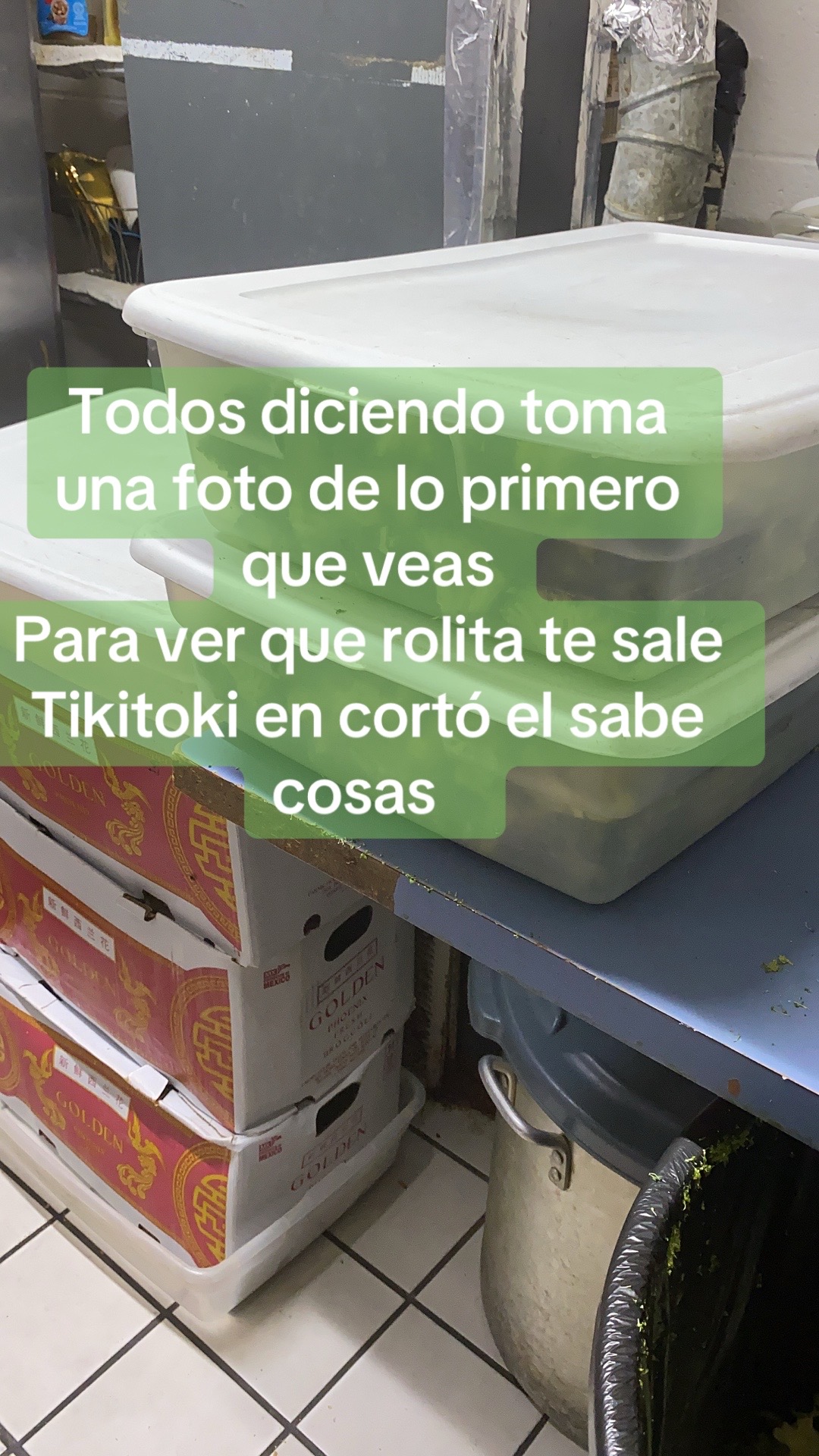 @Dulce Kd