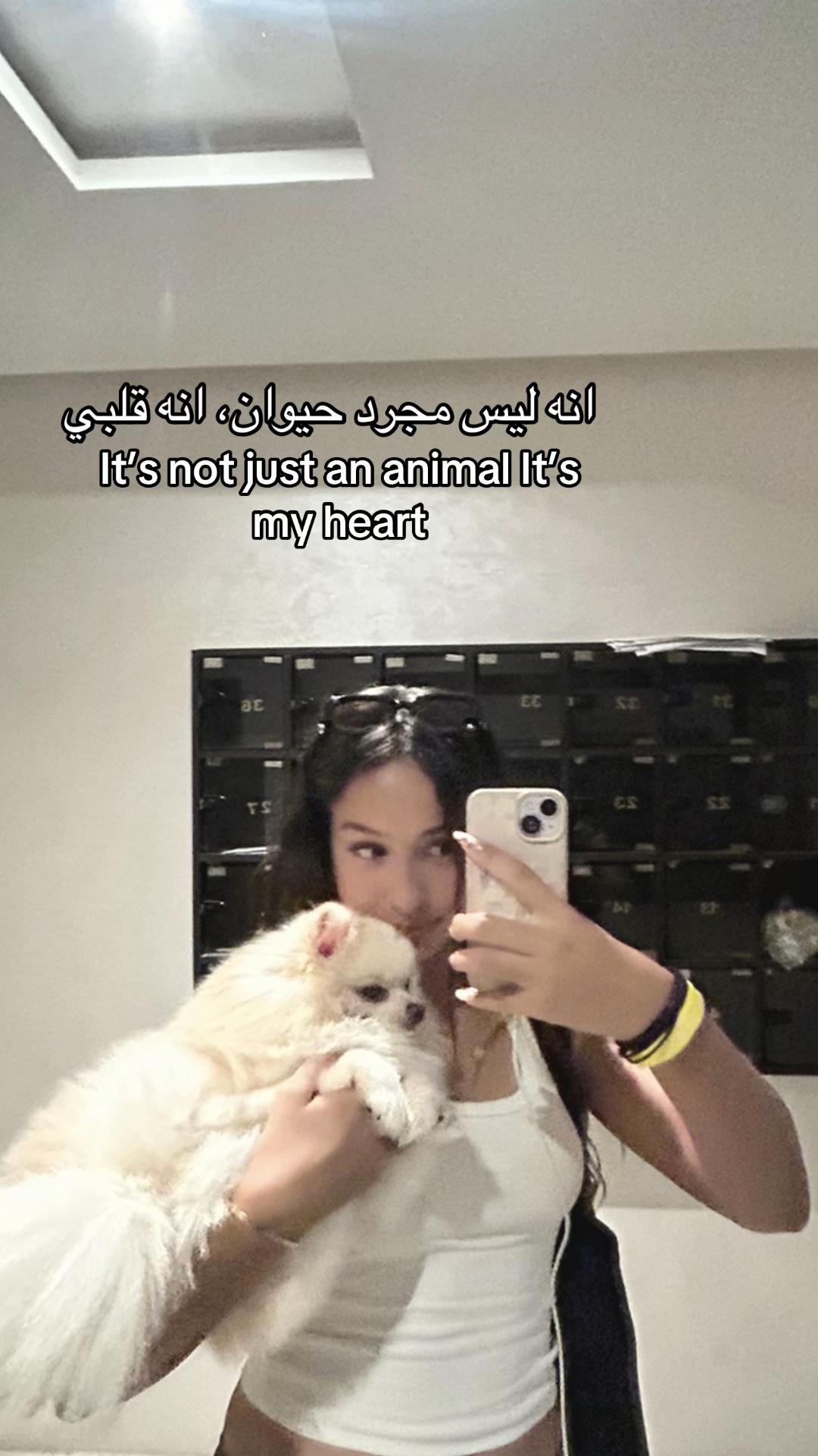 @𝐃𝐢𝐧𝐚_𝐥𝐝𝐦