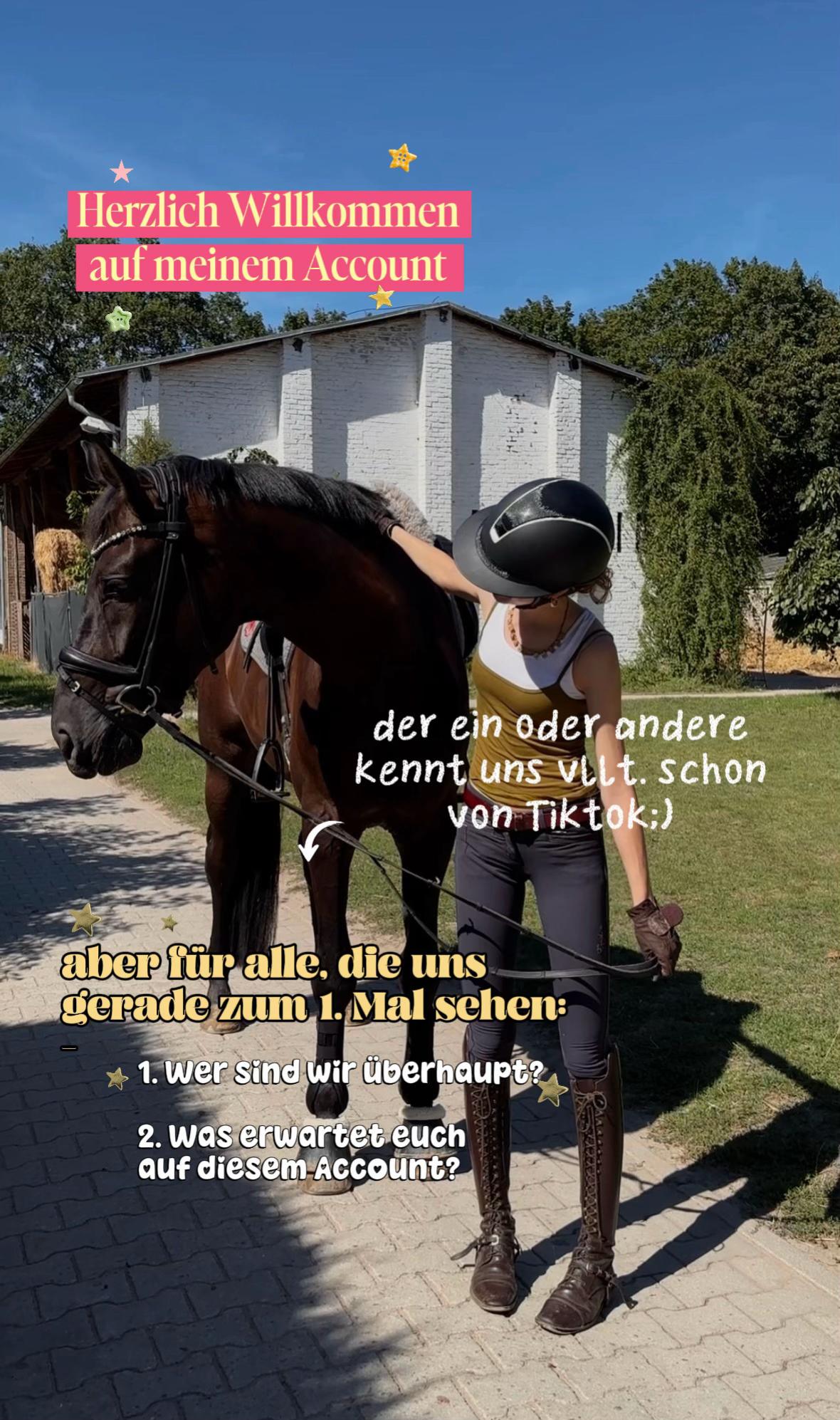 @evis.pferdechaos