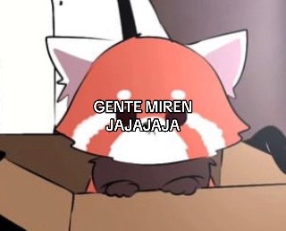 @koni ⟡