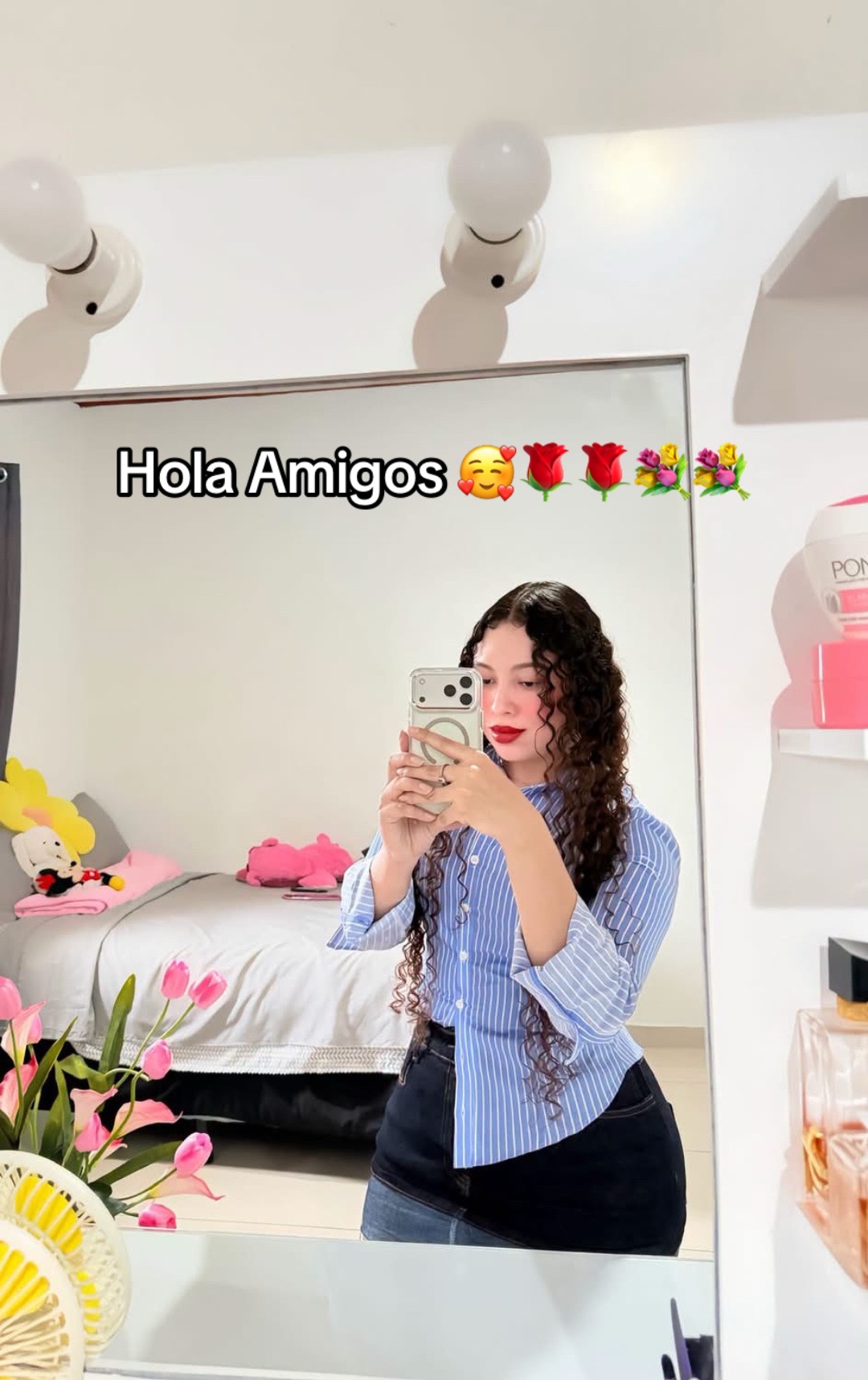 @Jeidy Anariba