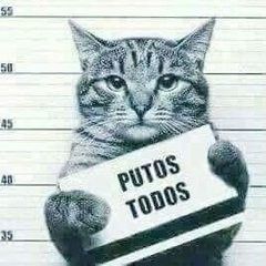 @perla