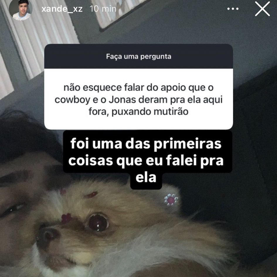 @Grupo Acervos