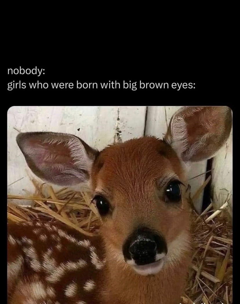 @1b3thatprettymf