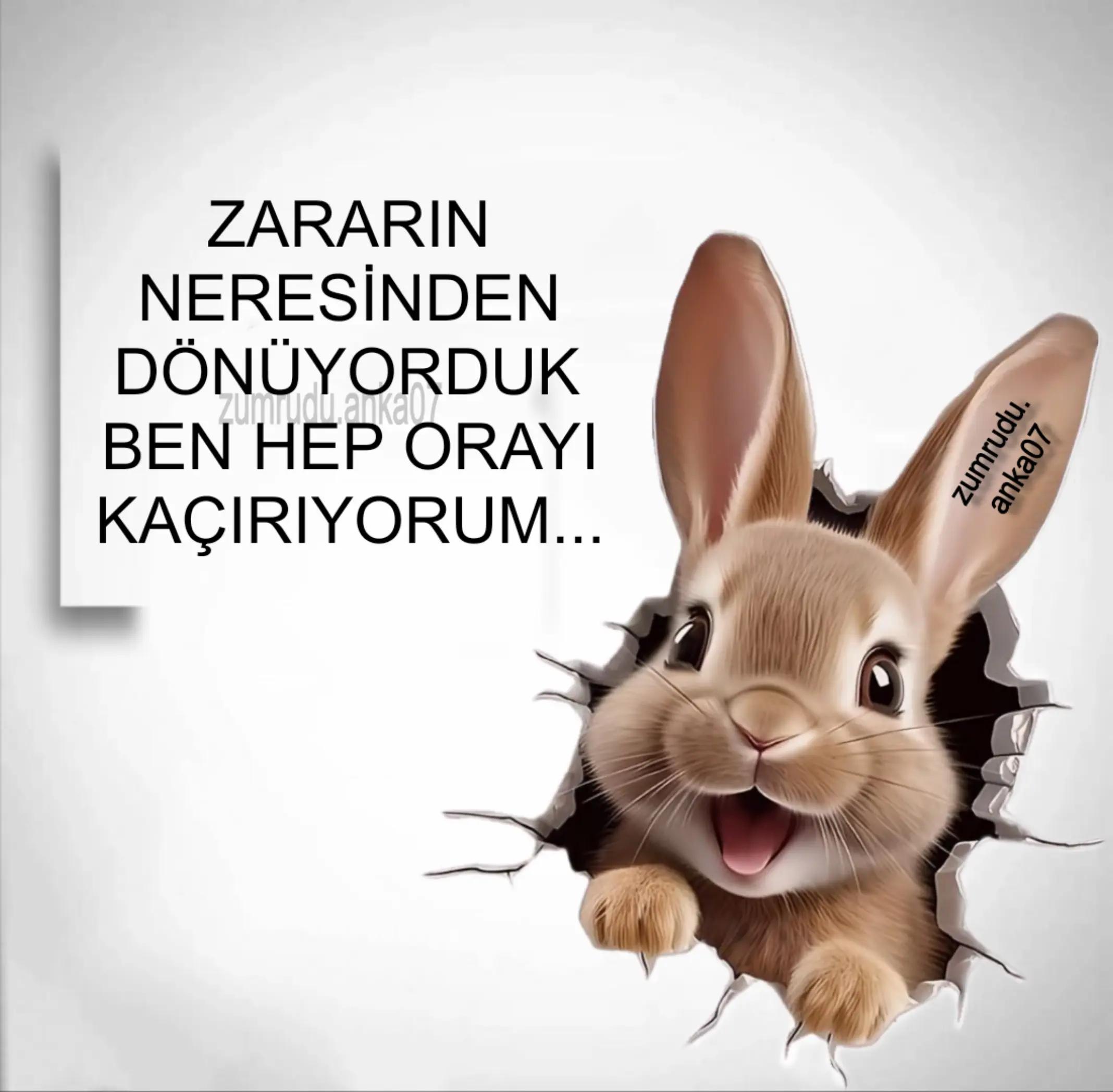 @Zumrudu.anka07
