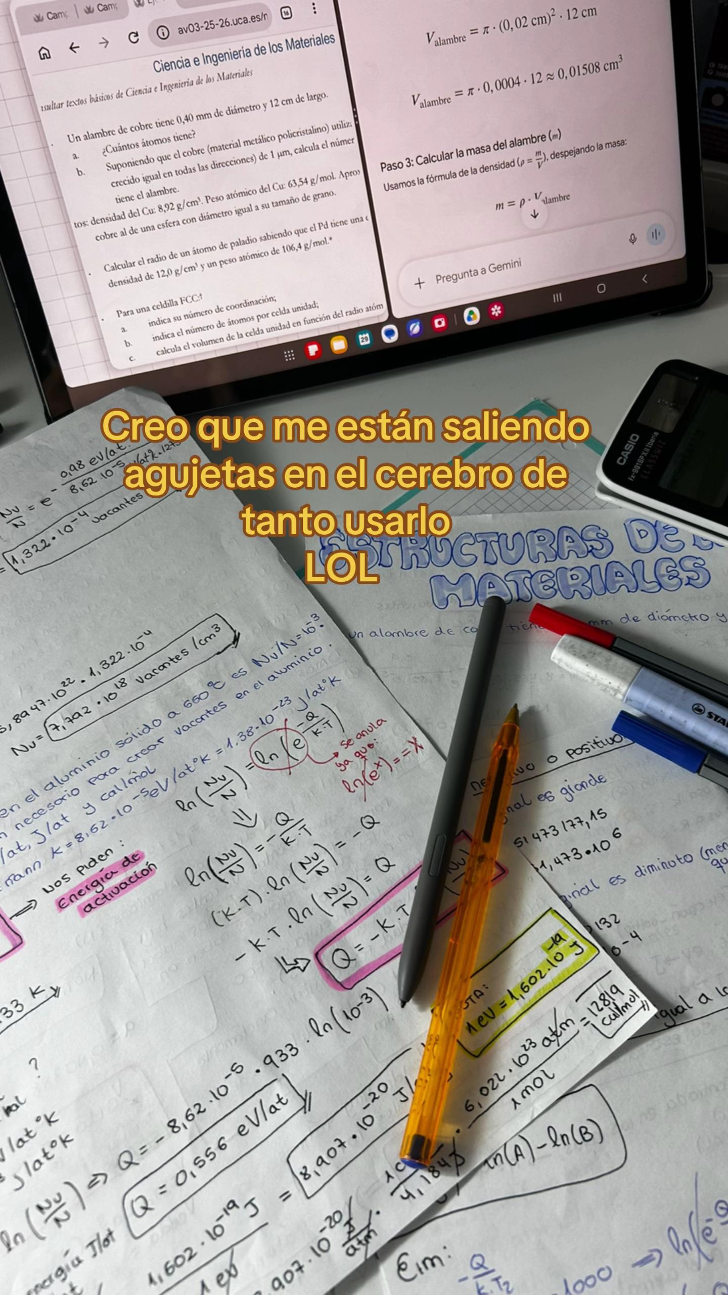 @Ana Cielo