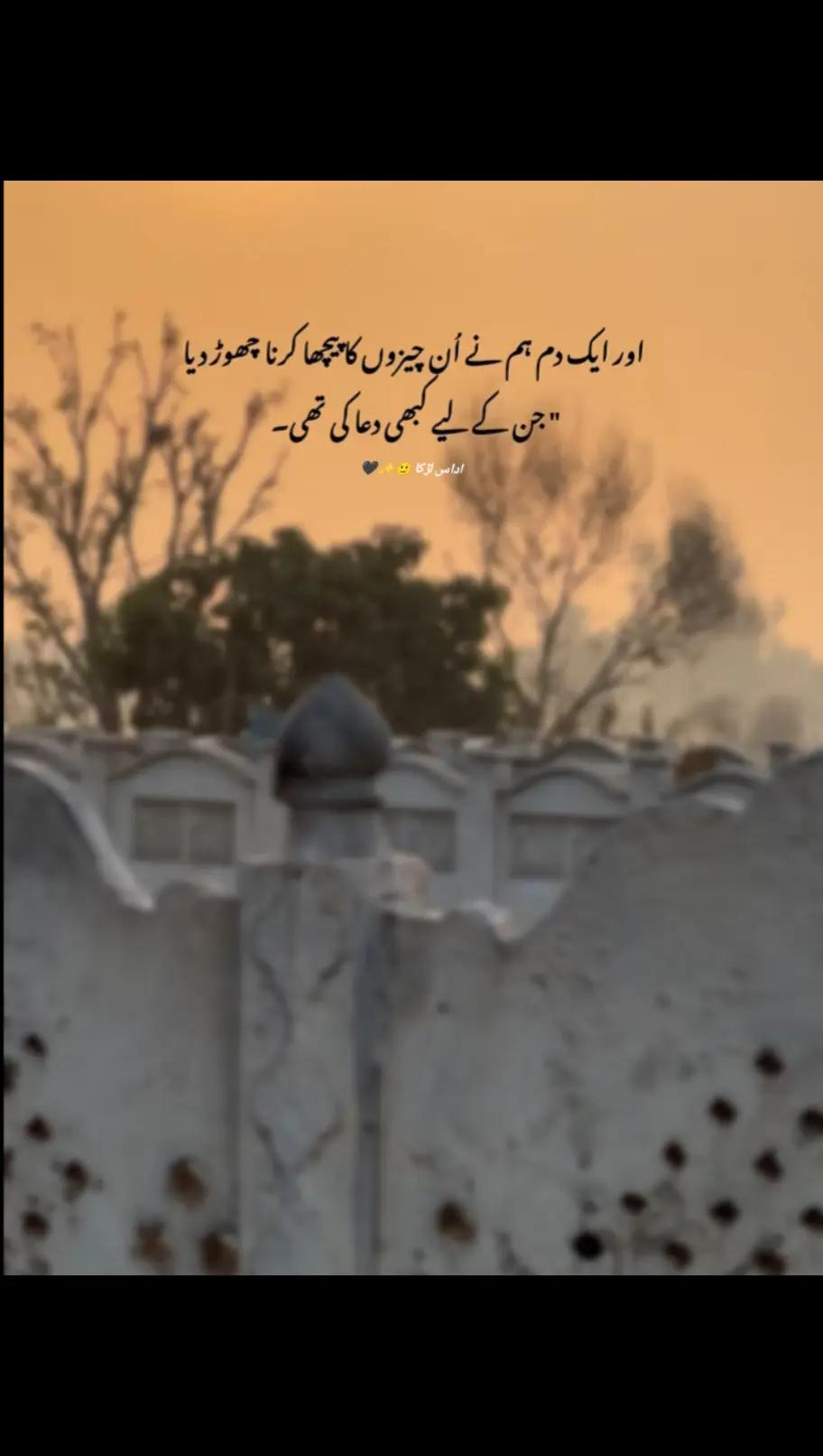 @اداس لڑکا 🙂✨🖤