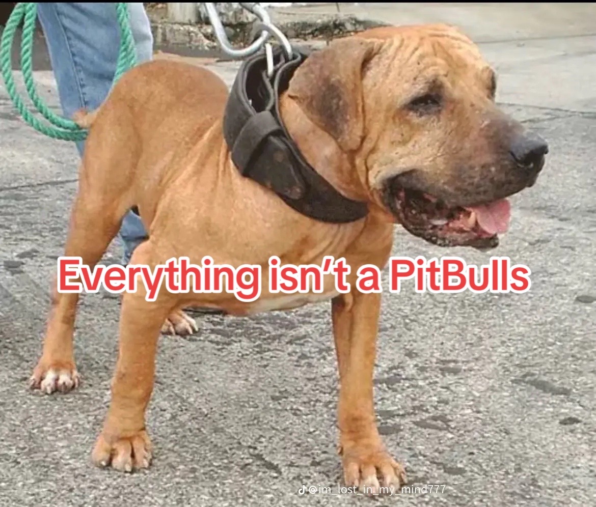 @OGMasterOfAllBulldogs