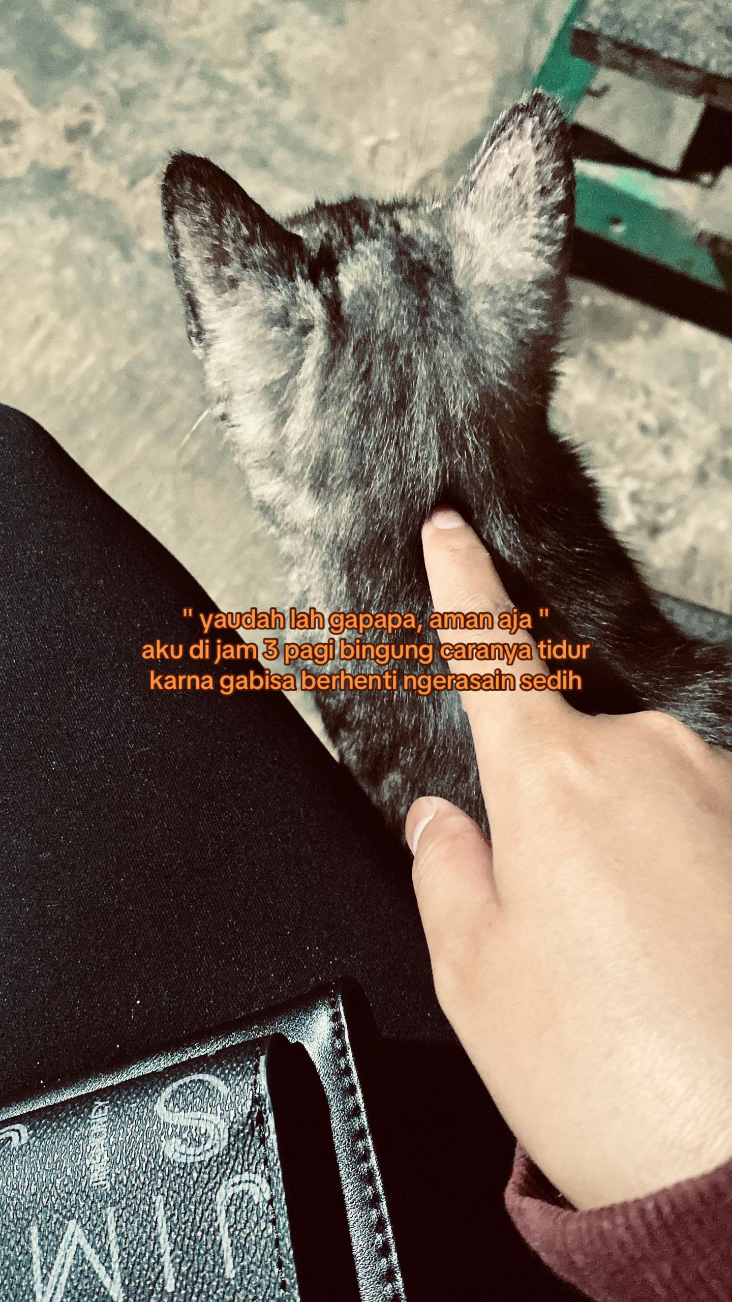 @ayu