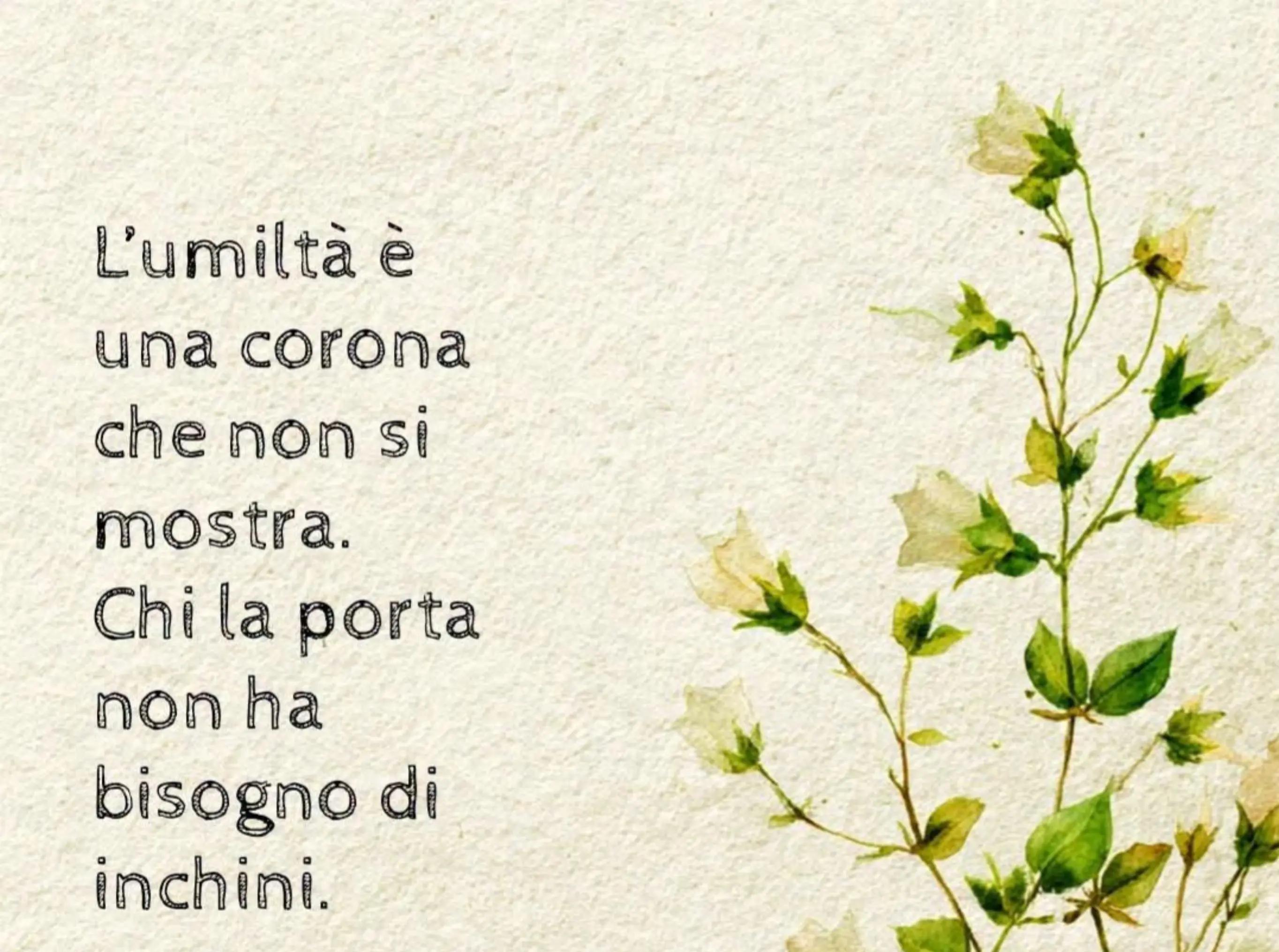 @Acatrini Roca Monica