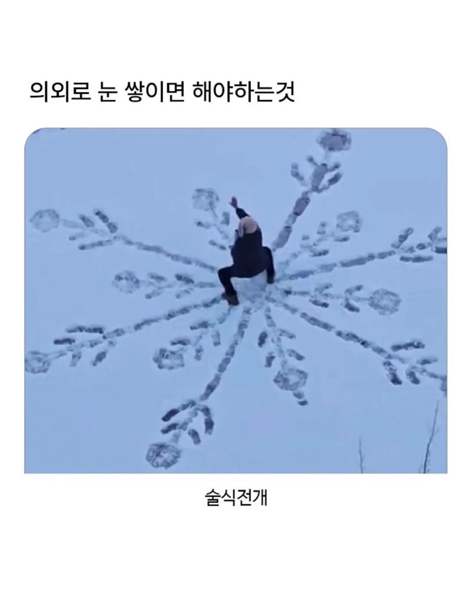@로이젤