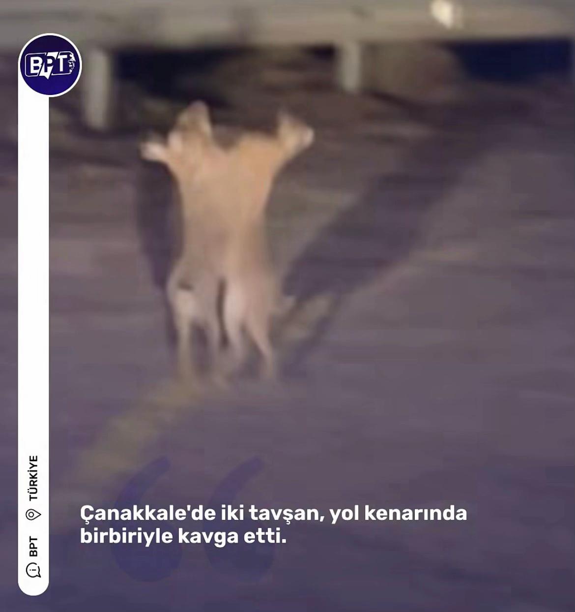 @hastasıyız dede