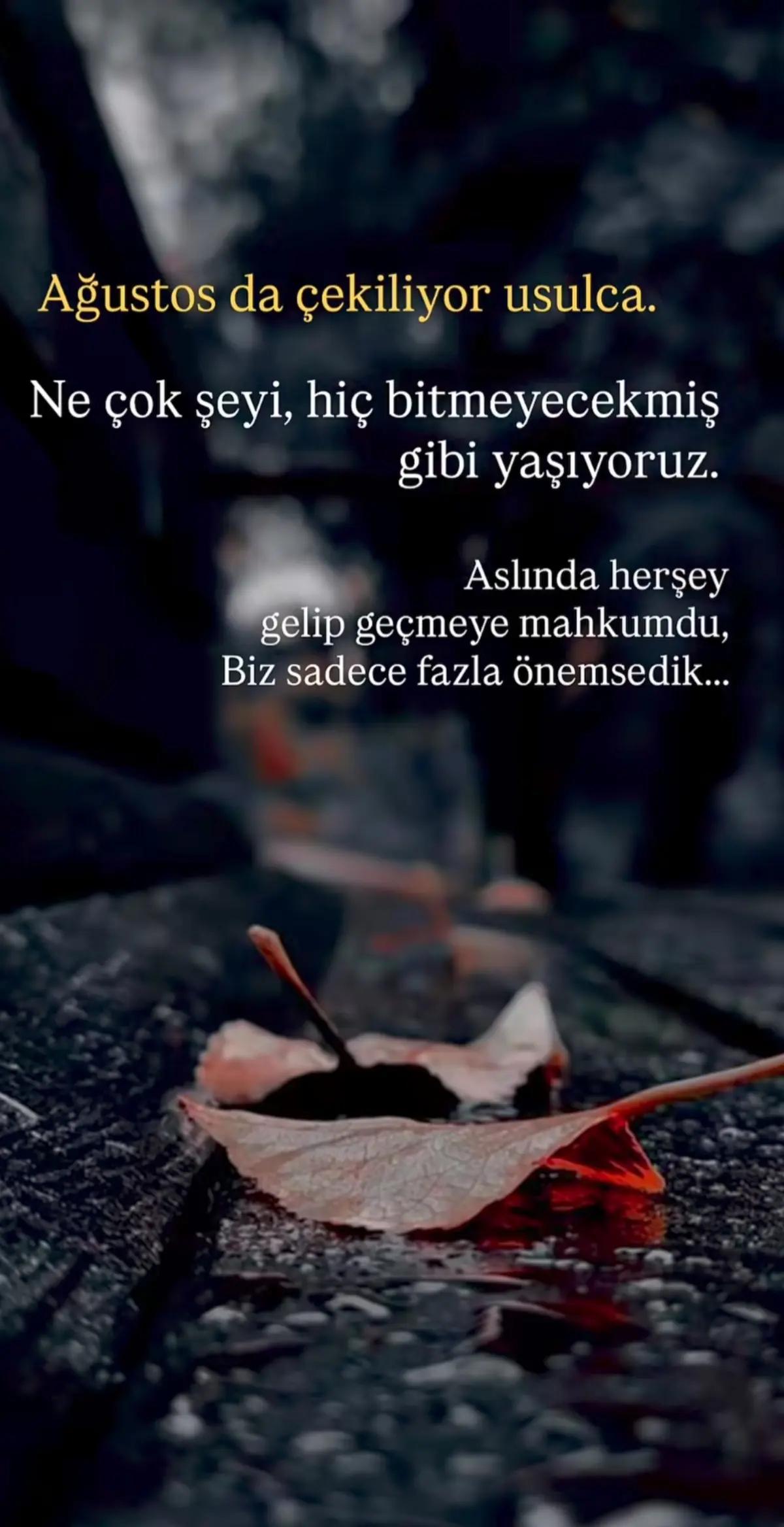 @mavideniz