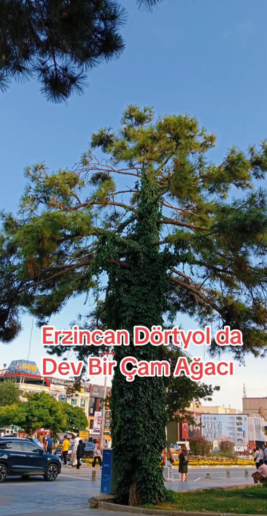 @Selçuk24🦅🦅🦅🌞🗻🏞️