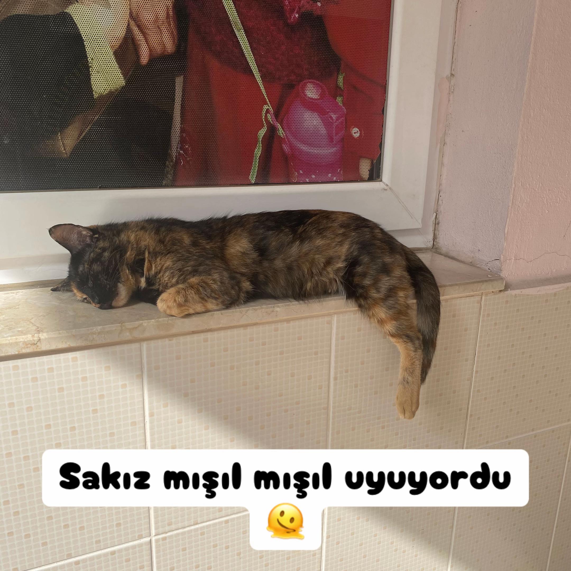 @Şapkalı Kadın