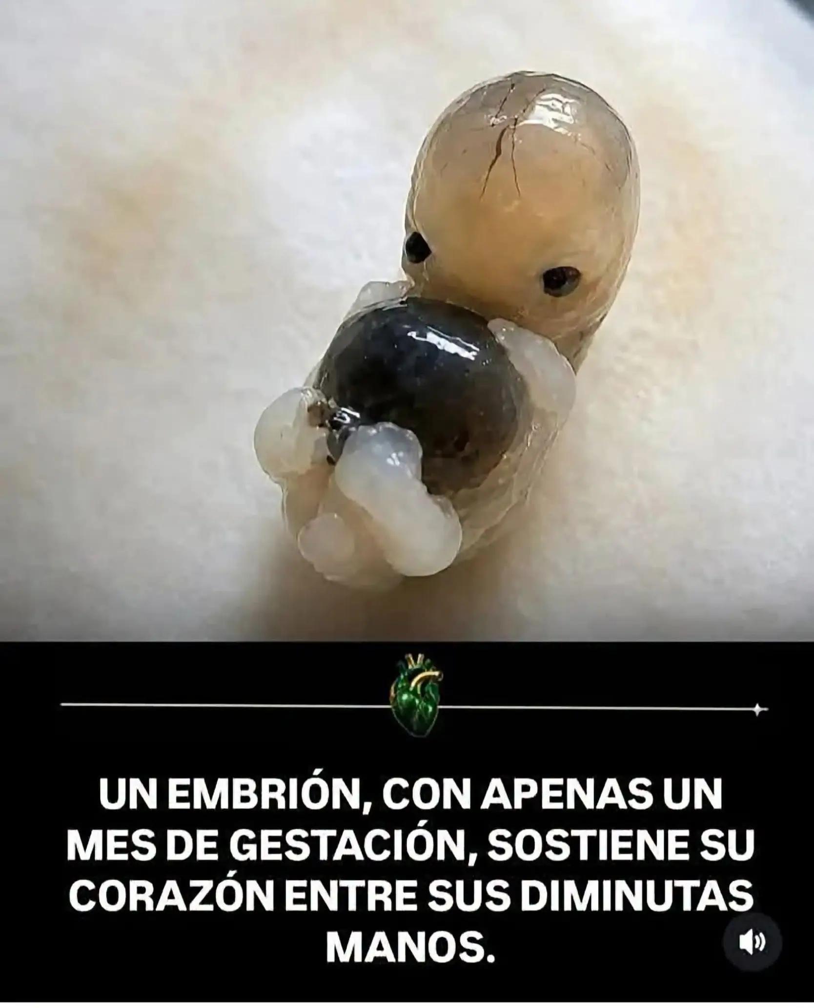 @sarahi