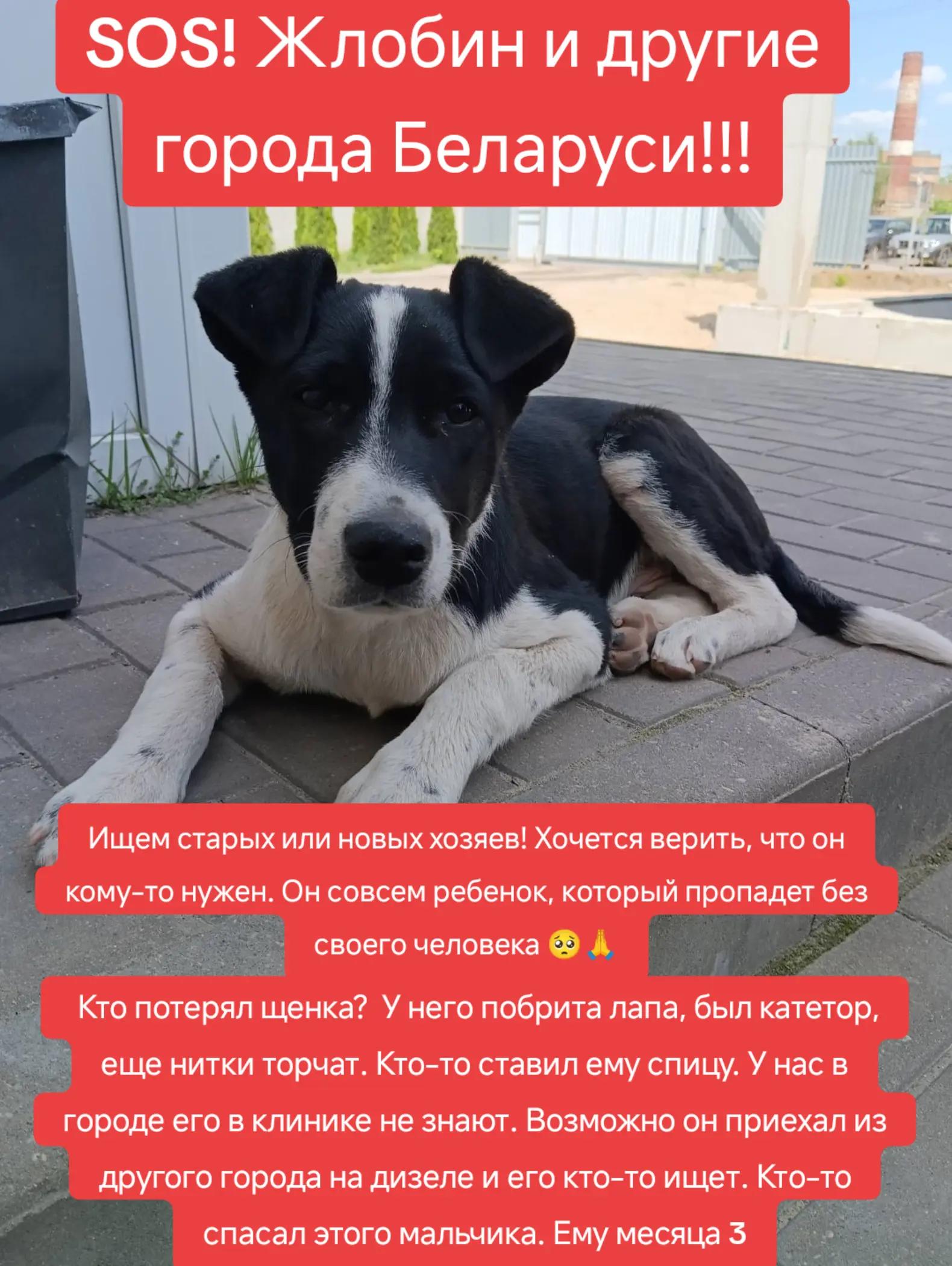 @Светлана Козлова