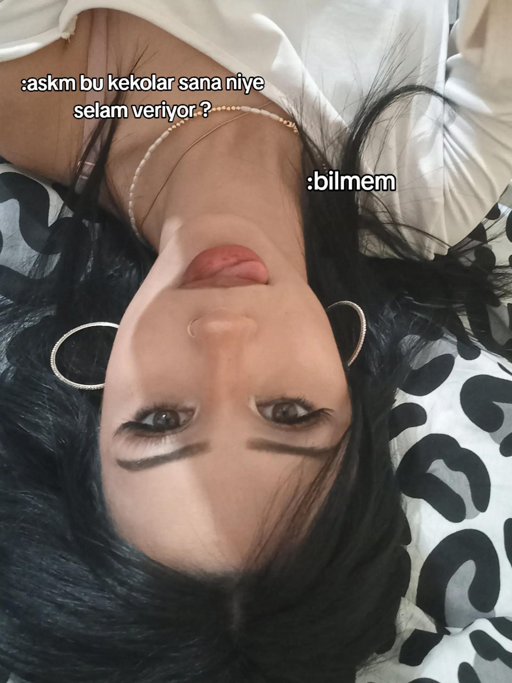 @lilith 🪽