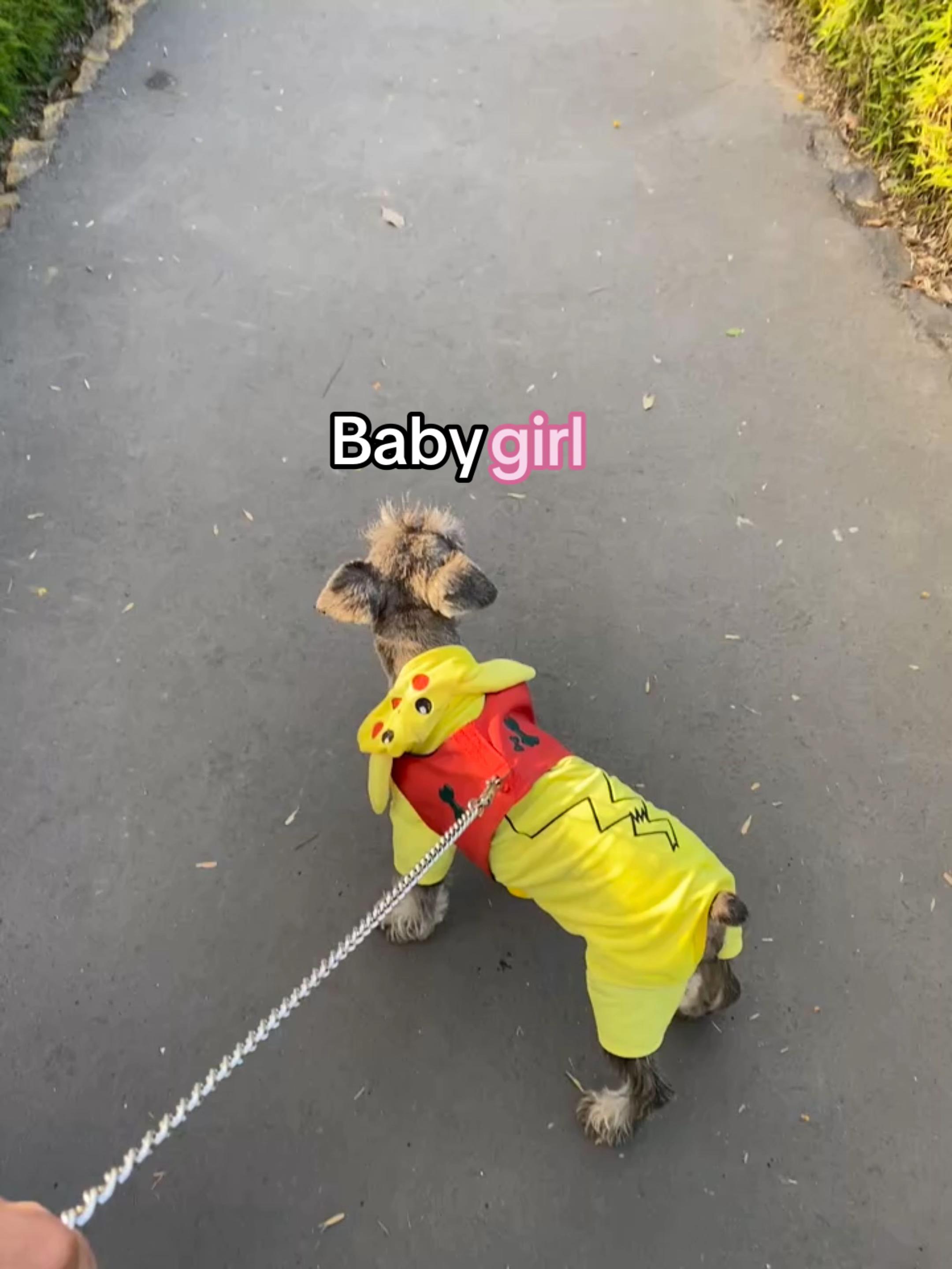 @jenninluv >|<