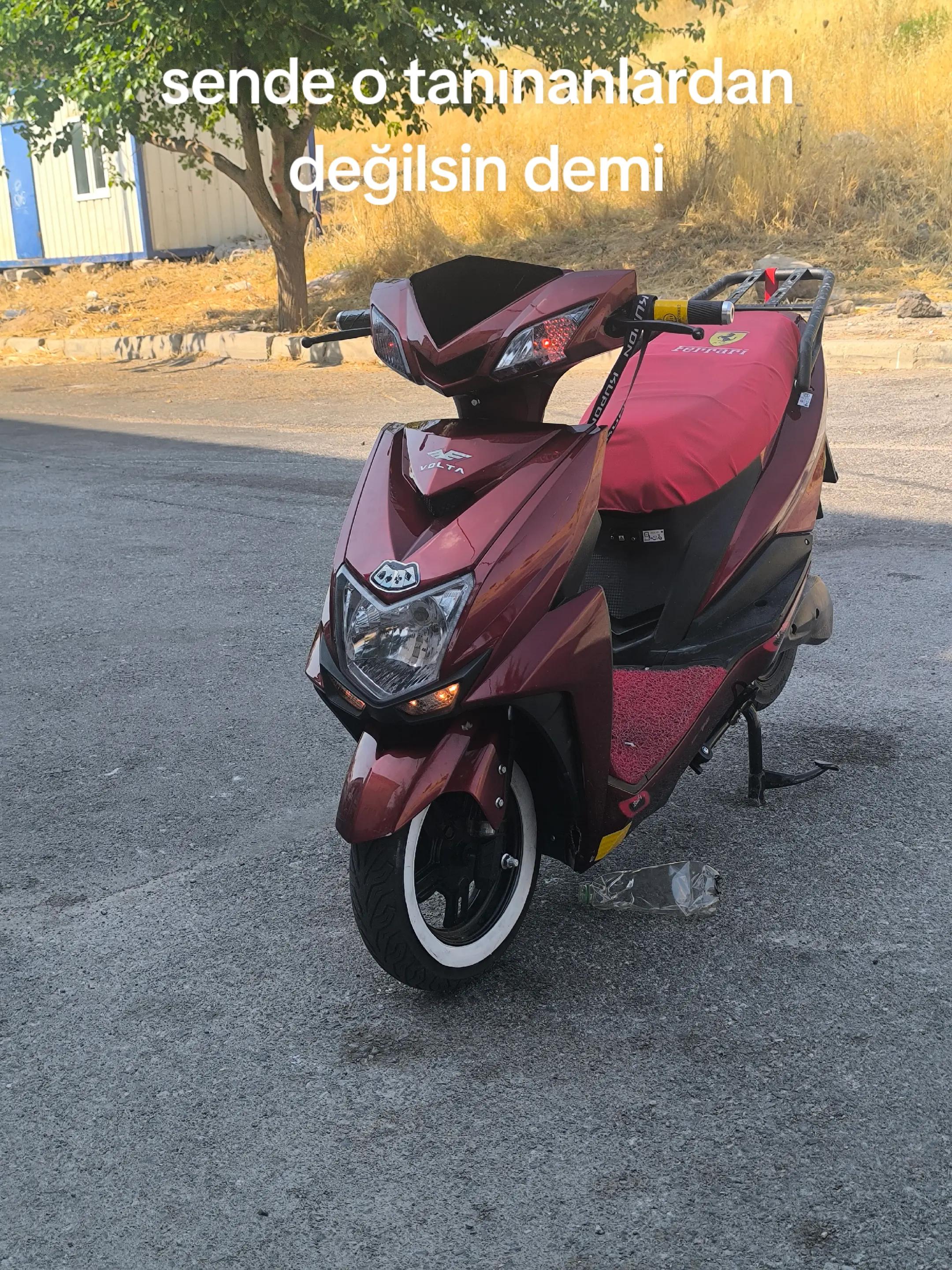 @selim sarıyiğit