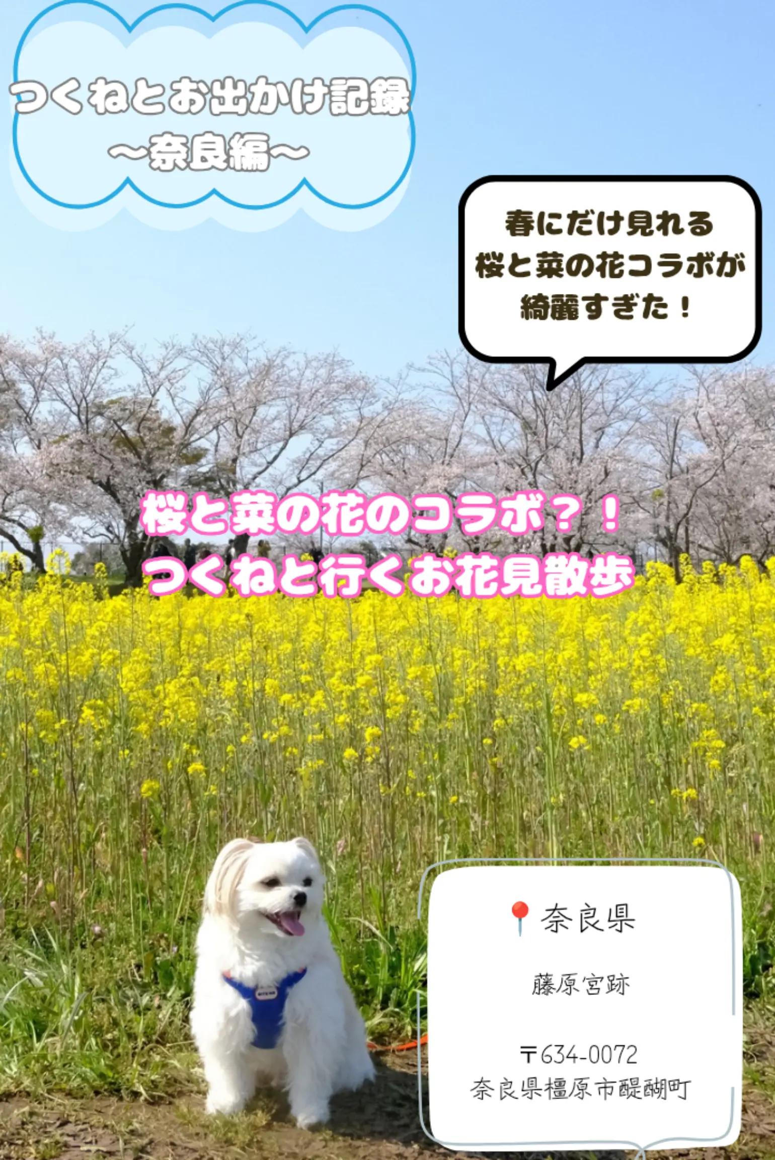 @つくねくん