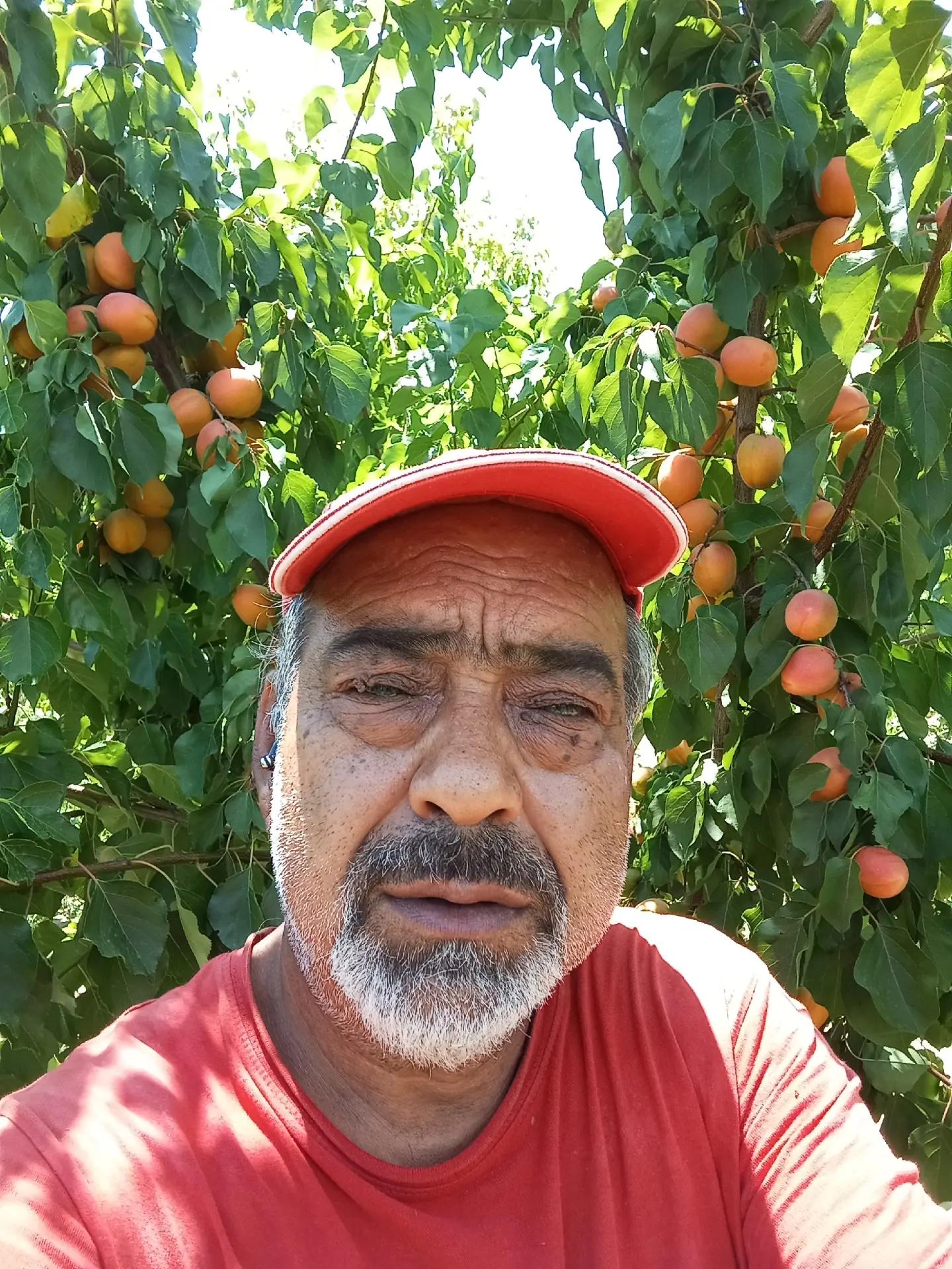 @Γιώργος ό πρόεδρος