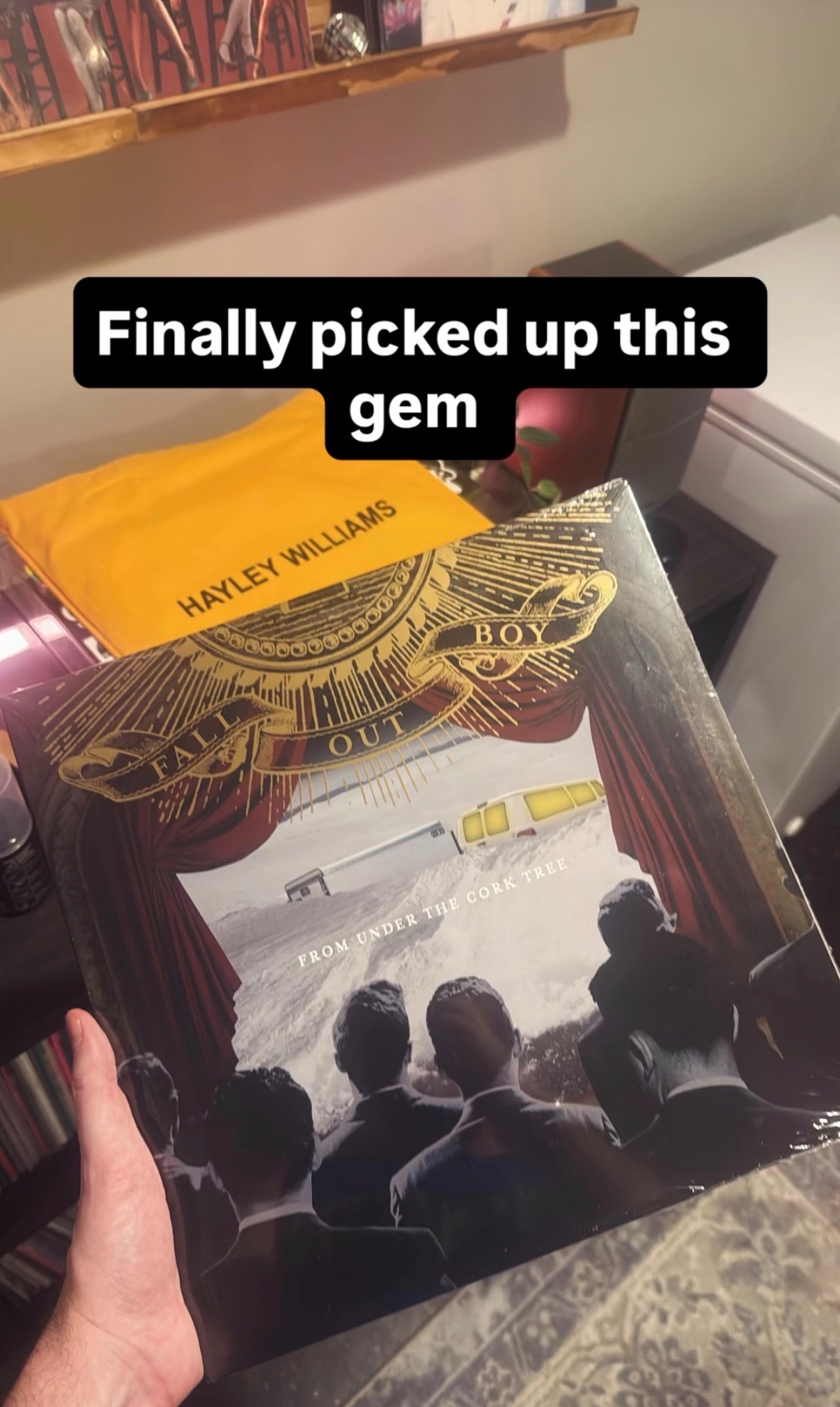 @vinylHemi