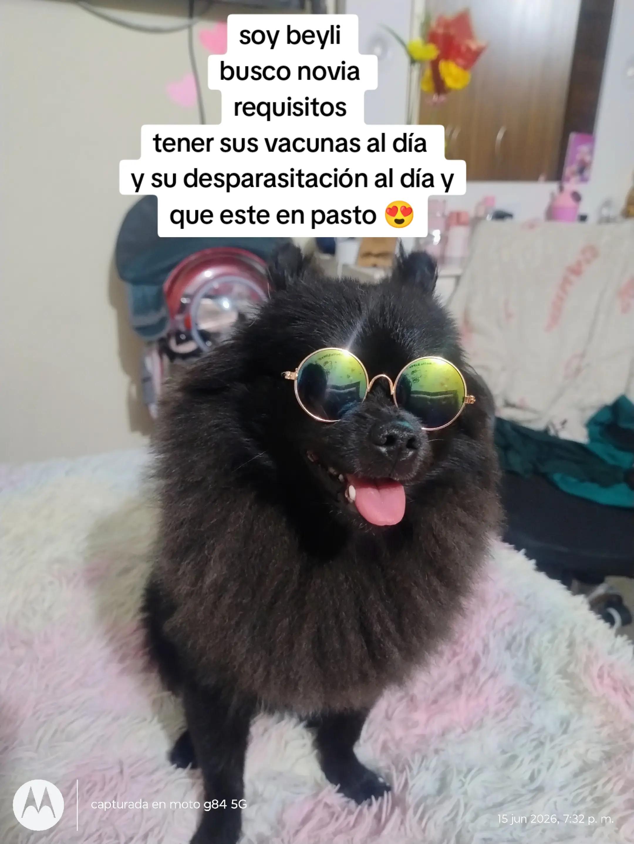 @BELLA TORRES