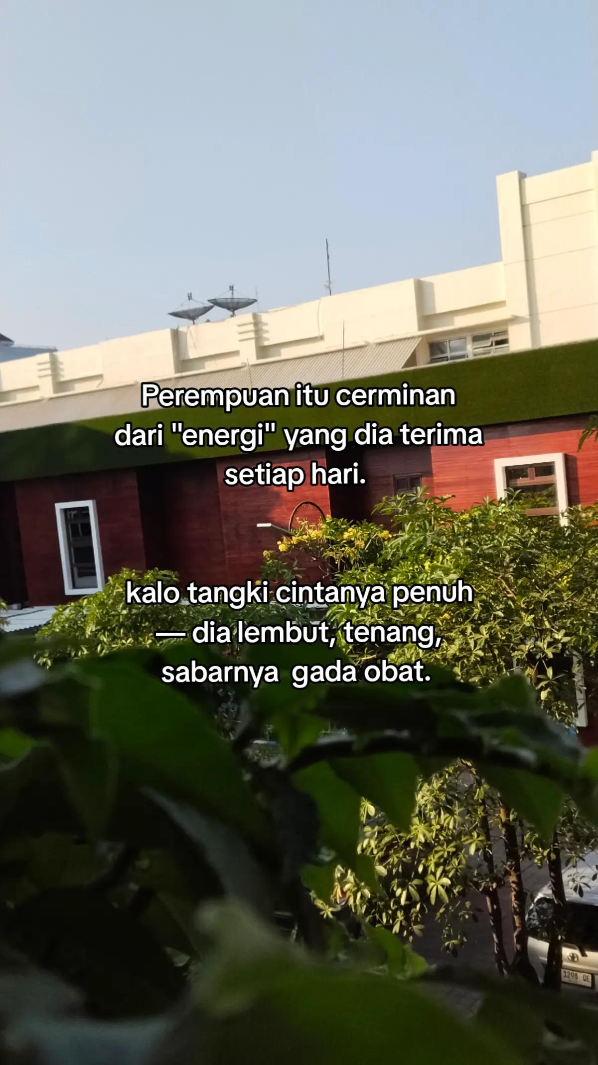 @Cece